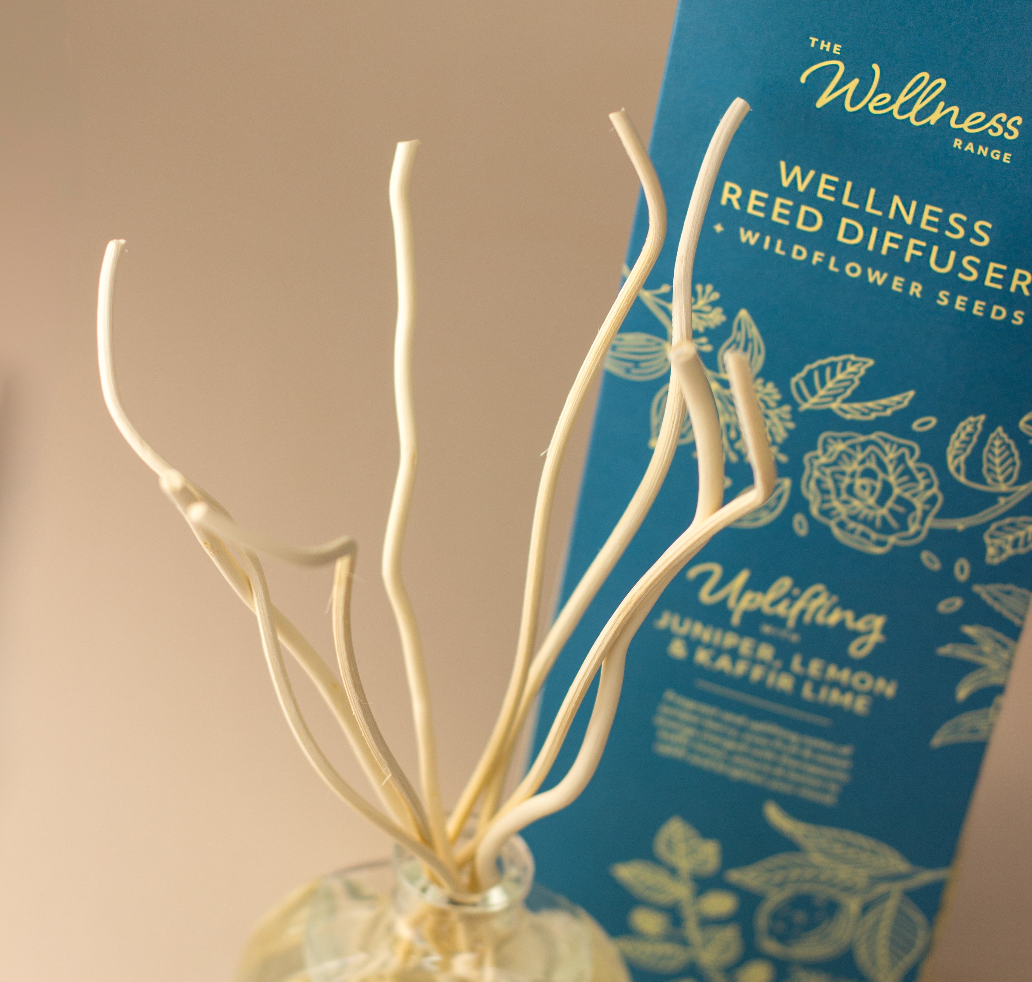 Reed Diffusers – The Wellness Range