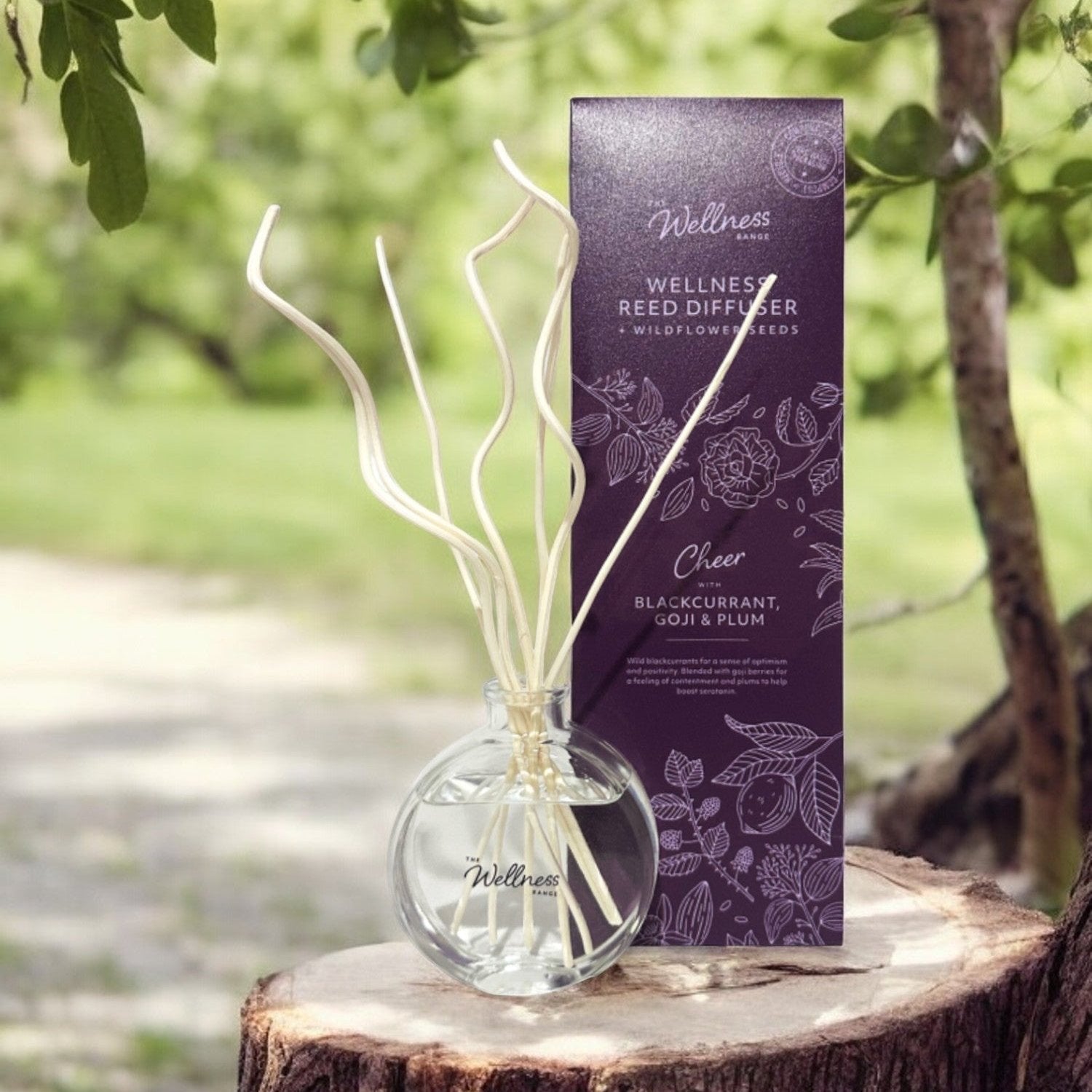 Cheer - Blackcurrant, Goji & Plum Wellness Reed Diffuser